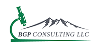 BGP CONSULTING LLC